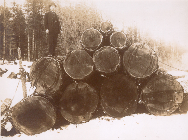 1909 logging